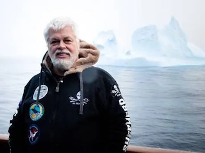 Paul-Watson Paul Watson sigue encarcelado en Groenlandia en espera de una decisión sobre la extradición que reclama Japón