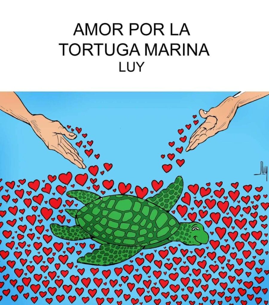 Amor-por-la-tortuga-marina-©LUY-900x1019 Amor por la tortuga marina