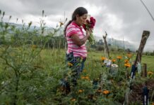 Julia Francisco Martínez lleva flores a la tumba de su marido, Juan Francisco Martínez, activista indígena asesinado en Honduras en 2015. © Giles Clarke / Global Witness