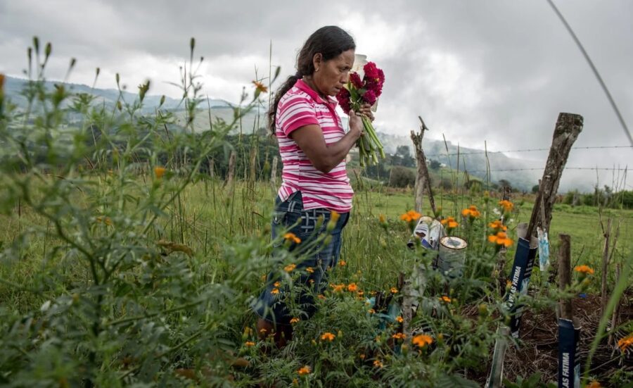 Julia-lleva-flores-a-la-tumba-de-su-marido-activista-indigena-asesinado-en-Honduras-©Giles-Clarke-Global-Witness-900x551 Global Witness cuantifica en 196 los defensores ambientales asesinados en 2023