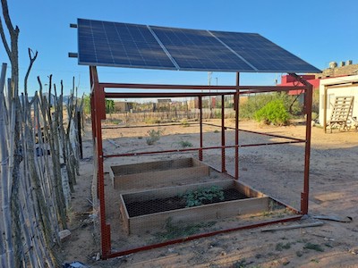 Mexico-Huerta-familiar-Indigenas-comcaac-@Rodolfo-Peon Agricultura familiar mexicana: Pueblos originarios se ayudan con paneles solares