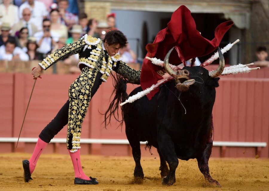 Tardes-de-soledad-fotograma-en-la-plaza-de-toros-900x640 «Tardes de soledad», de Albert Serra, Concha de oro en Zinemaldia