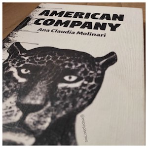 American-company-cubierta «American company», una novela arriesgada de Ana Claudia Molinari