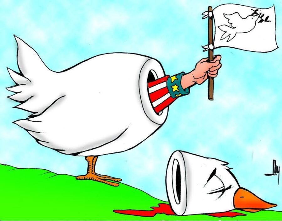 Dificultades-para-la-Paloma-de-la-Paz-©LUY-900x705 Dificultades para la Paloma de la Paz