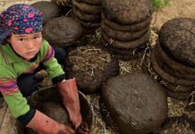 Una niña prepara, con paja y estiércol de ganado, tortas para emplear en labores agrícolas en la central provincia de Banyan, en Afganistán ©Shehzad Boorani / Unicef
