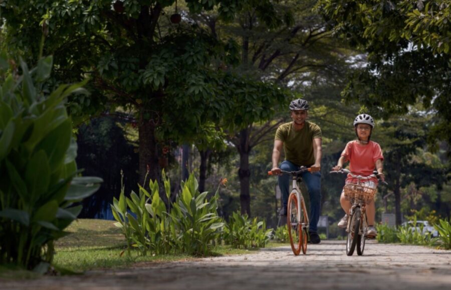 San-Sebastian-Plaza-Guipuzkoa-900x578 Plaza Gipuzkoa en San Sebastián: historia, encanto y paseos guiados
