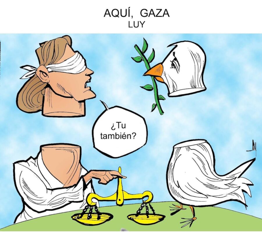 Aqui-Gaza-©LUY-900x797 Genocidio en Gaza
