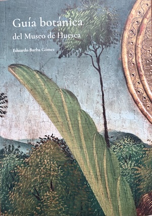 Guia-botanica-del-Museo-de-Huesca Una hiedra se enreda