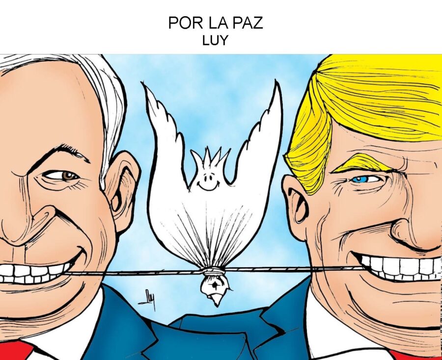 Estrangulando-la-paz-©LUY-900x734 Estrangulando la paz