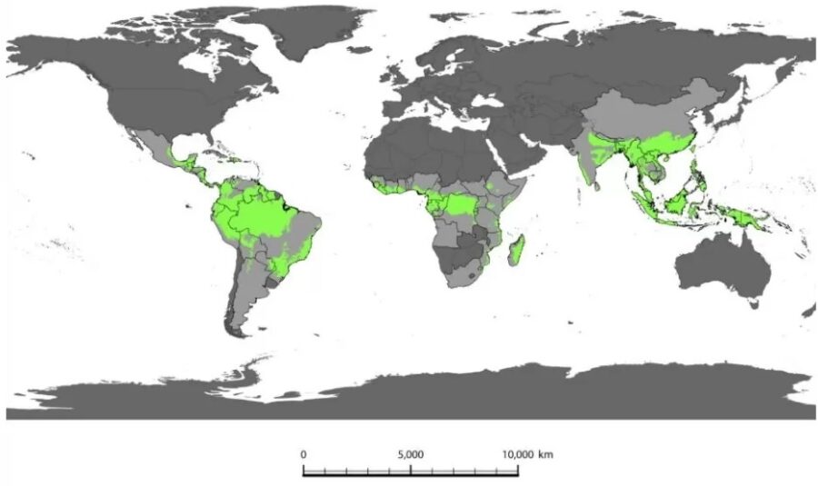 Fondo-Bosques-Tropicales-©TFFF-900x535 Brasil propone un fondo de inversiones para salvar los bosques tropicales y el clima