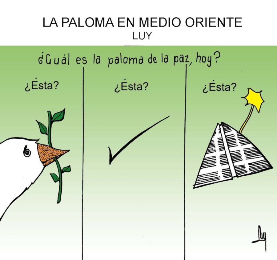 Palomas-de-la-Paz-en-el-mundo-©LUY-900x845 Palomas de la Paz en el mundo