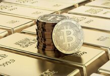 DL Mining lidera una nueva era de ganancias estables para inversores minoristas