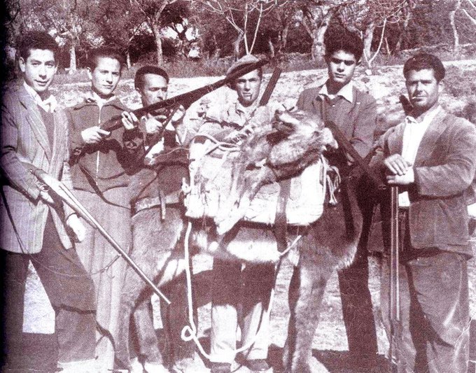 G8zocKNXYAEWP_3 Extremadura: aquel "último" lobo, según el último premio Nobel