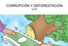 La deforestación es un negocio