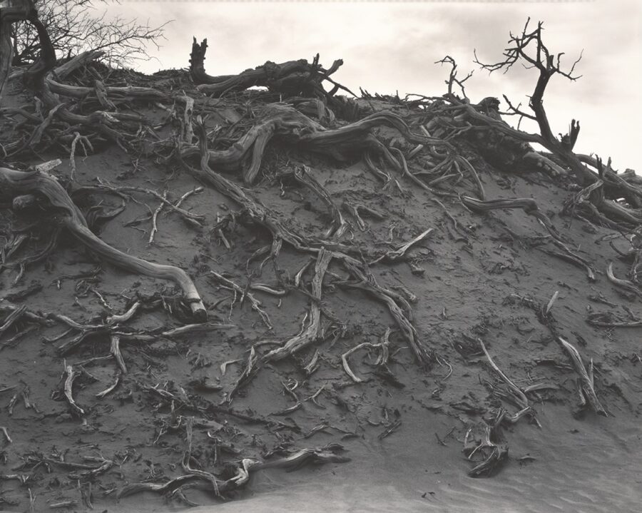 Weston-Dunes-Death-Valley-1938-900x719 La fotografía artística de Edward Weston