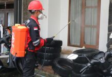 Control de plagas: estrategia de prevención y salud ambiental