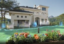 Beneficios del riego inteligente para jardines con diferentes tipos de planta