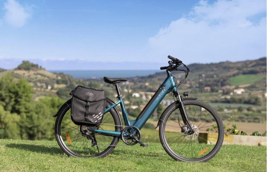 Bicicletas-electricas-fiido-©archivopub-900x582 Bicicletas eléctricas por menos de mil euros: guía completa para elegir la mejor opción