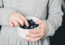 RD 315/2025 y comedores escolares: España regula el menú