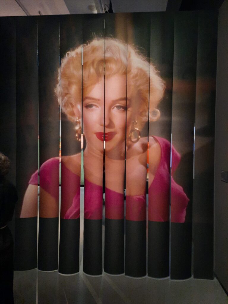 Marilyn-expo-Pariscortina-entrada-©JFZ-768x1024 De Norma Jean a Marilyn Monroe