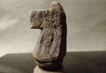 Piezas históricas de ajedrez aparecen en excavaciones en Argentina