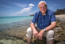 David Frederick Attenborough: centenario de un pionero David Frederick Attenborough