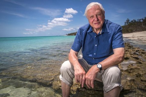 David-Frederick-Attenborough David Frederick Attenborough: centenario de un pionero