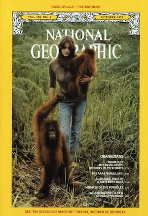 National-Geographic-Birute-Galdikas-portada El macho alfa debe cuidar a los desvalidos