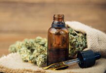 Cannabis y CBD en España: normalización, marco legal y un sector en crecimiento