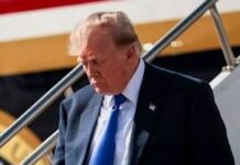 Trump ofrece 5000 dólares por ciudadano si los republicanos ganan las midterms
