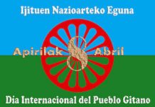 Bandera del pueblo gitano