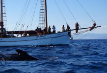 CIRCE en la campaña de marcar calderones en el Mediterráneo