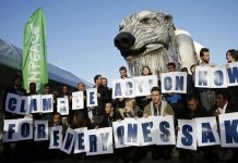 COP21: Greenpeace coloca un oso polar para reivindicar el medio ambiente natural