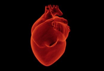 Captura-de-pantalla-2018-01-18-a-las-13.46.47-350x239 Infarto de miocardio: nuevas vías detección