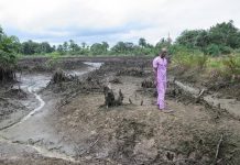 La contaminación en el Delta del Níger no mejora, a pesar de las promesas de la Shell de limpiar la zona. © AI