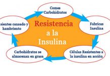 Diabetes Resistencia a la Insulina