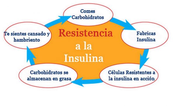 Diabetes-Resistencia-a-la-Insulina-600x365 HOMA: resistencia a la insulina, la medición de la prediabetes