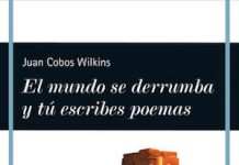 portada de El mundo se derrumba y tú escribes poemas