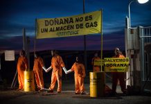 Acción de Greenpeace en Doñana contra el proyecto de Gas Natural Fenosa 29/11/2016, Doñana, Huelva. Foto: Mario Gómez