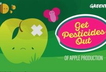 Greenpeace denuncia los pesticidas en manzanas vendidas en supermercados