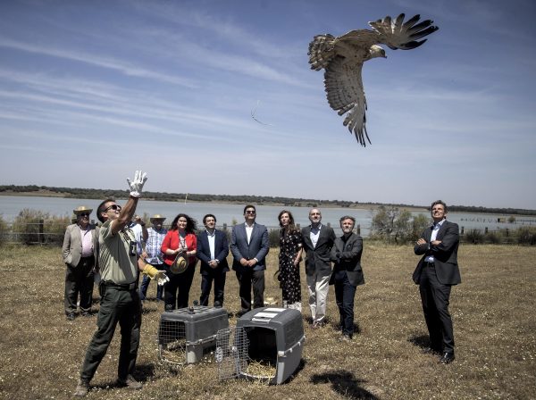 Inauguración-La-Dehesa-de-Abajo_Proyecto-Doñana-600x448 Heineken España colabora en la rehabilitación de Doñana