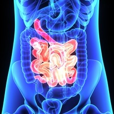 MalabsorptionSyndromes Enfermedad celíaca o Esprúe tropical, ¿sabe qué padece?