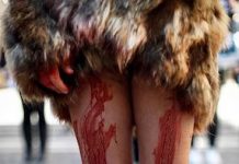 Pamplona asesinato animales