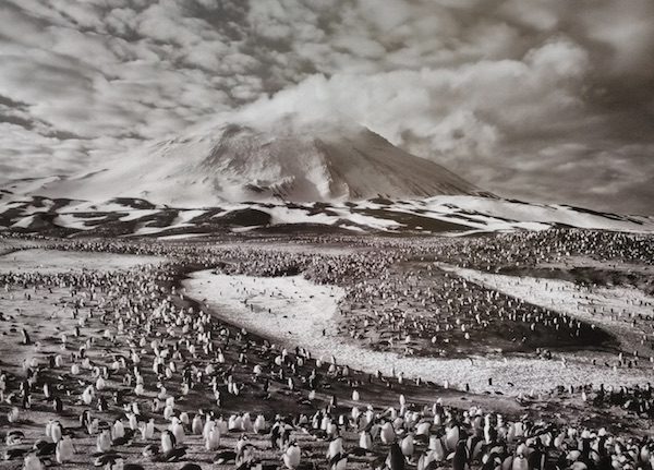 Salgado-Salamanca-volcan-600x431 Sebastião Salgado: muestra pública en Salamanca