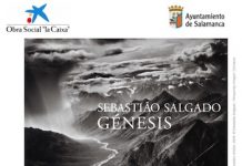 Sebastiao Salgado expo Genesis cartel