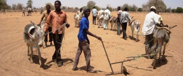 Sudan-farmers-600x250 Sudán: El presidente pide la retirada total de la ONU por considerar la zona en paz