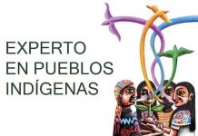 UC3M experto pueblos indigenas