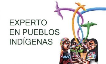 UC3M-experto-pueblos-indigenas-350x210 Experto en Pueblos Indígenas, Derechos Humanos y Cooperación Internacional