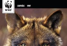 Cartel de la campaña de WWF "Marca el territorio por el lobo"