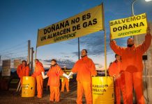 Activistas de Greenpeace paralizan las obras de Gas Natural Fenosa en Doñana por sus daños a este Espacio Protegido ©Greenpeace/ Mario Gómez